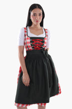 Red Checkered Bodice Traditional Dirndl Dress