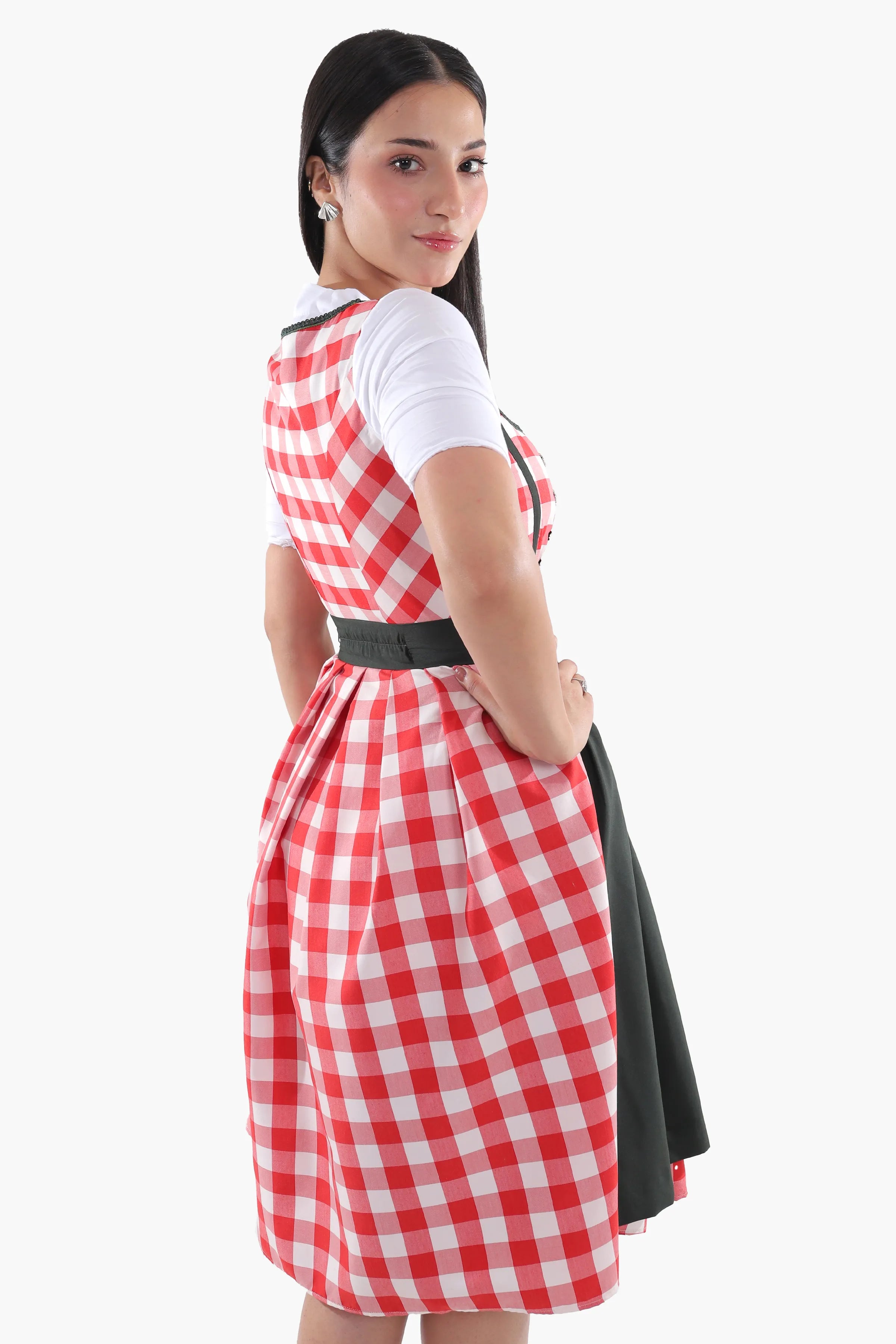 Red Checkered Bodice Traditional Dirndl Dress