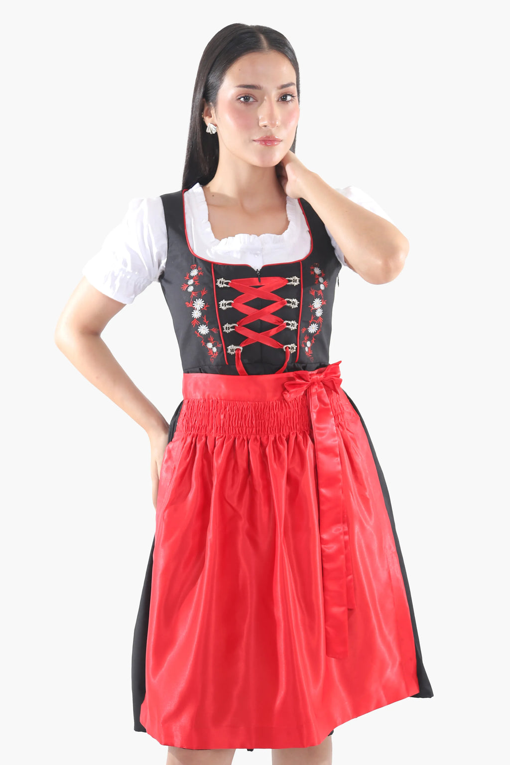 Black Dirndl Dress Red Embroidery Charm