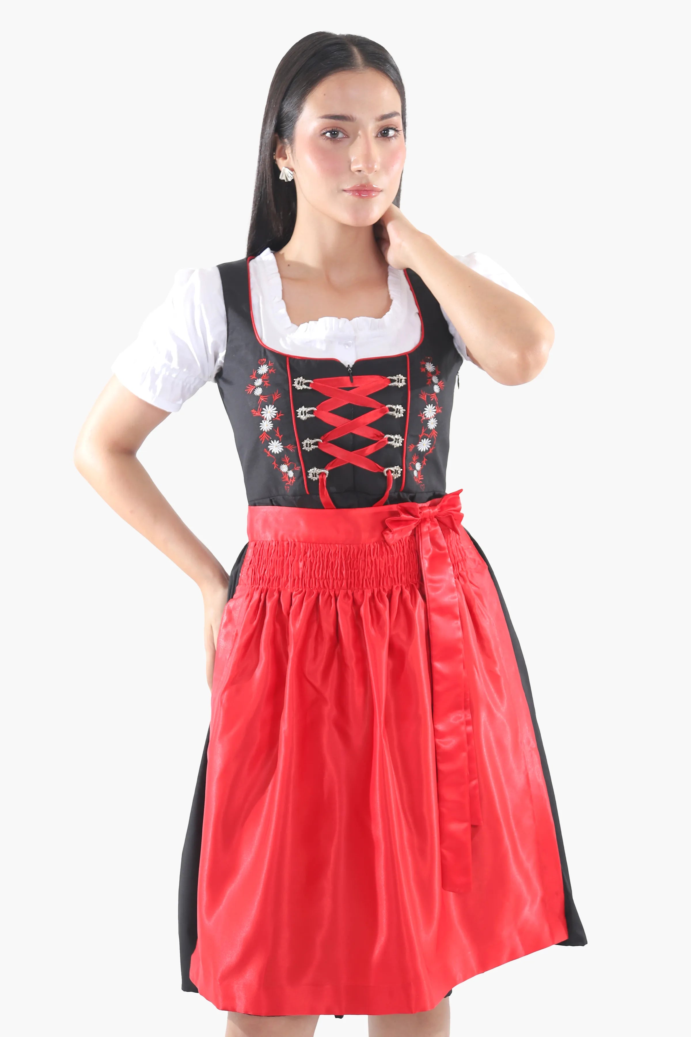 Black Dirndl Dress Red Embroidery Charm