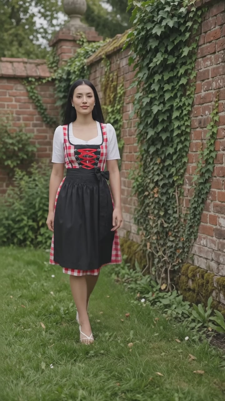 Red Checkered Bodice Traditional Dirndl Dress
